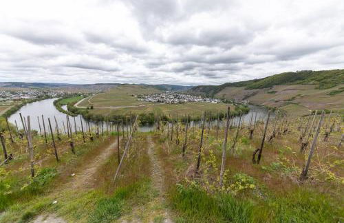 Cozy II Luxuriös Moselview Terrasse Garten NETFLIX - Foto 12