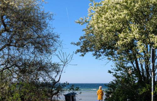 Oberdeck Ostsee - Foto 21