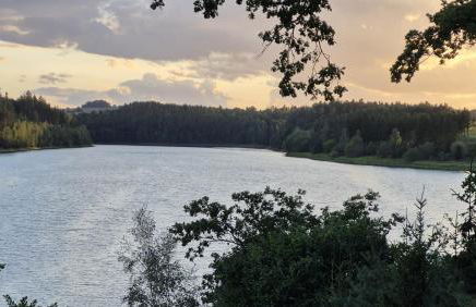 Ferienhaus 262 am Zeulenrodaer Meer - Photo 20