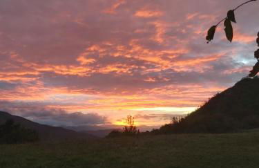 SO MAGIC - La casa nel bosco - Foto 50