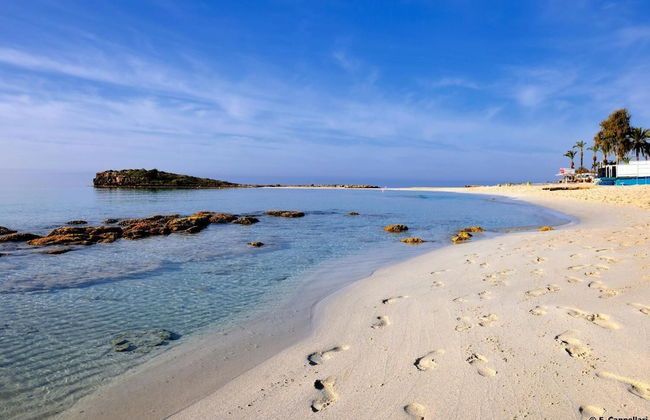 Tsokkos Paradise Village - Foto 52