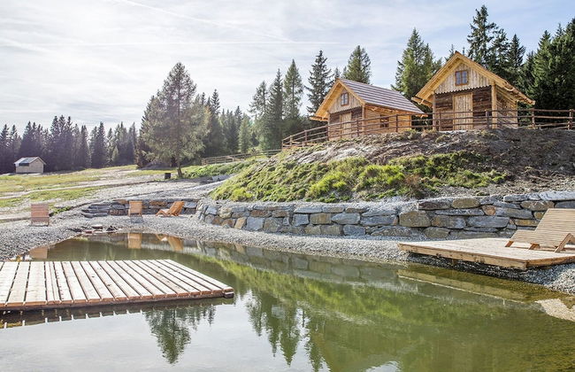 Cozy Chalet in Weisspriach With Terrace - Photo 21