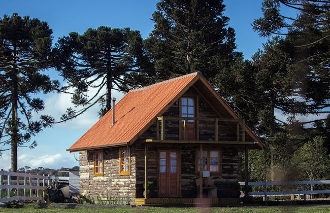 Rancho Denver - Photo 5