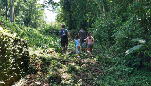 Randonnée dans Bertioga + Balade en bateau - Photo 3, Randonnée en famille