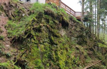 Le Refuge perché du saut de la bourrique, SPA, terrain clôturé, bordure de forêt - Foto 12