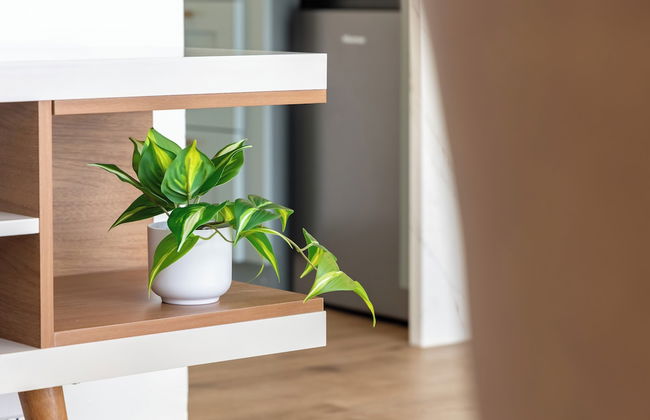 Renovated Pacific Monarch Studio Near Waikiki Beach - Foto 91