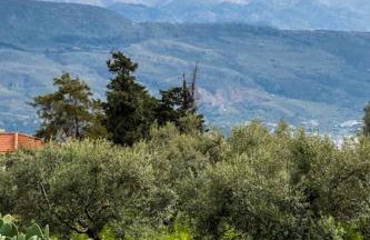 Emma Hills Villa - Foto 46