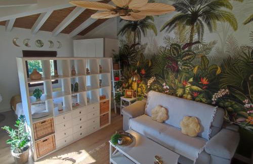 Suite Curry - Photo 5