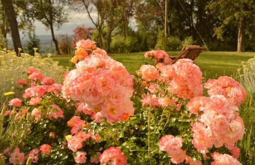 Agriturismo Riparossa - Foto 34