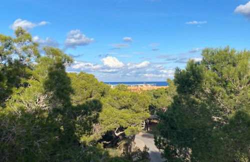 Appartement NoBe Es Pujols proche plage, vue mer - Foto 4