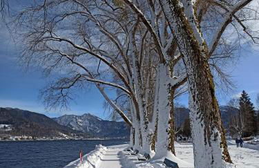 Lake Life 9 - Foto 17