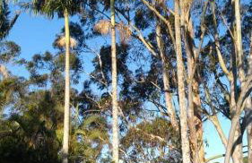 Mansion in the mountains - Foto 34