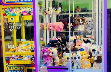 Serene Campground Getaway - Foto 24