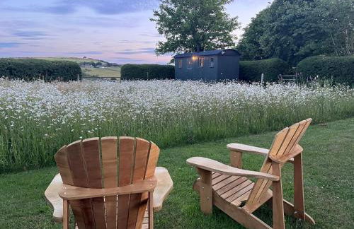 1 Bed in Hayfield 87592 - Photo 24