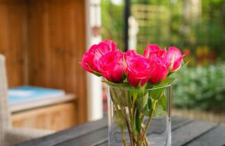 Just a Minim - quaint studio in beautiful rural location - Foto 18