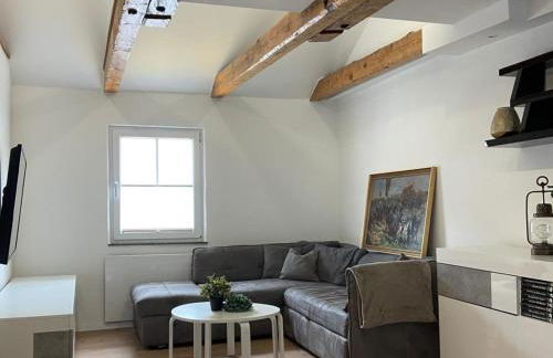 Ferienwohnung Pleystein - Foto 8