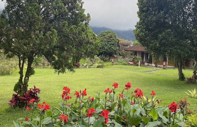 BUYAN RESORT - Foto 17