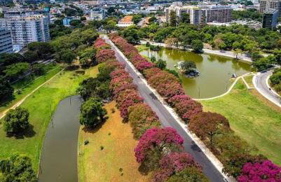 Rio de Janeiro Apartamento - Foto 52