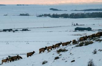 Luxury Retreat Epic Views & Hot Tub - Foto 63