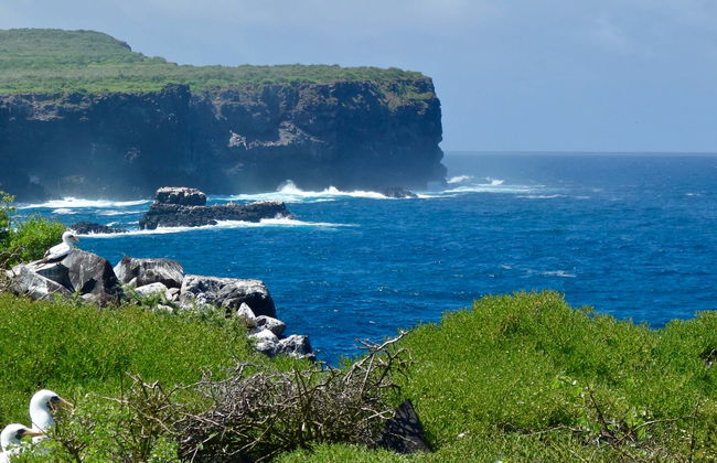 Española Island Day Trip - Photo 1