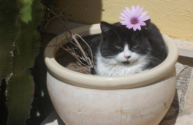 AgriturCostabaira - Foto 16