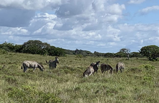 Perna Perna St Lucia - Foto 23