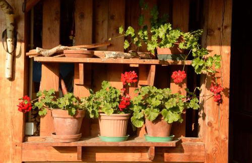 La Casa al Noce - Foto 40