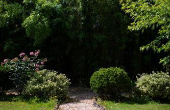 Gite la Maison de la Pimpine Lignan de Bordeaux - Foto 6