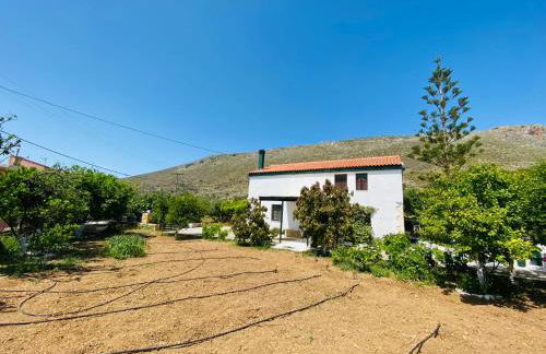 The Green Home - Foto 19