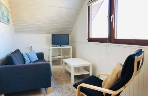 Ferienwohnungen Falkenhagen - Foto 9