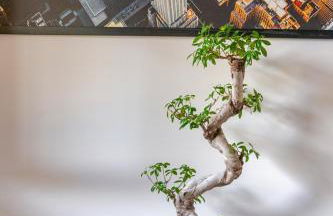 Villa nel verde di Marco Simone vicino ai campi da Golf e al Polo Tecnologico Tiburtino - Foto 8