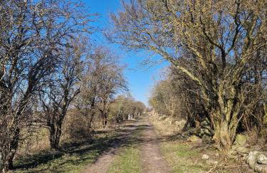 Haus-Fehmarn-am-Dorfteich-|-Wohnung-3-Nord - Foto 42
