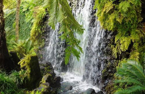 Panoramic House in Ponta do Sol - Foto 19