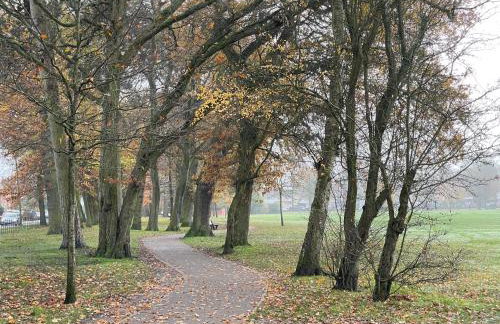 Urban 3 Bedroom Home in Kings Heath-Great Location - Foto 20