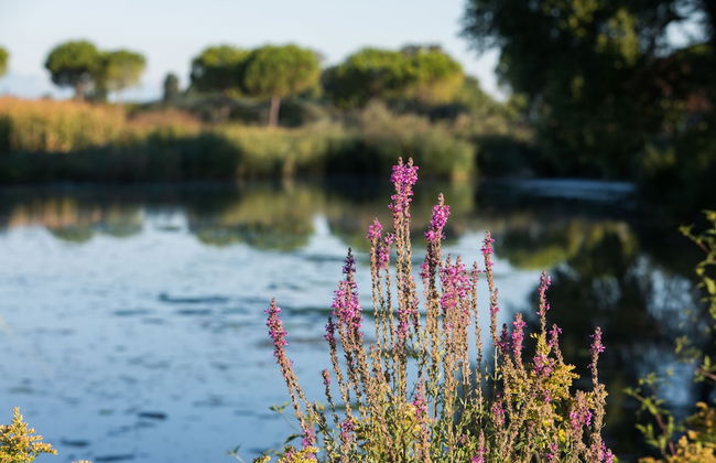 Agriturismo Ai Due Leoni - Foto 67