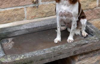 Lower Arthur's Cottage in Saddleworth, Manchester - Foto 21