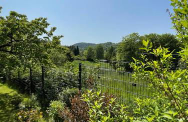 Bergchalet Löwenzahn - Foto 20