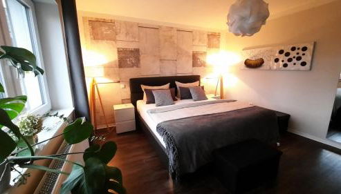 Appartment Fasanenhof Klinikum und Uni nah mit Netflix - Foto 2