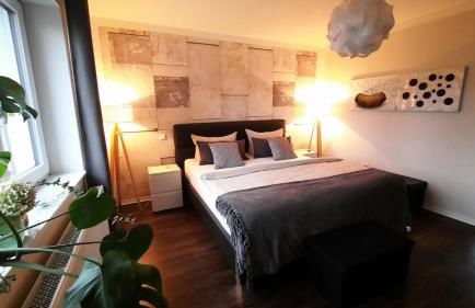 Appartment Fasanenhof Klinikum und Uni nah mit Netflix - Foto 2