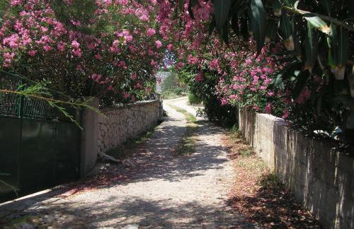 Apartments Ajka - Photo 14