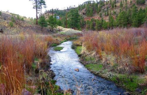 Enchanting Cabin Rental near Colorado Springs, Colorado - Foto 26