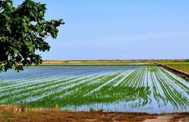 Allotjament turistic Casa Serral-Ocampo - Foto 40