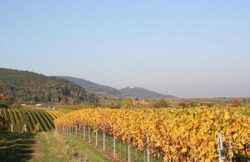 Ferienwohnung Spatzennest in Edesheim - Foto 16