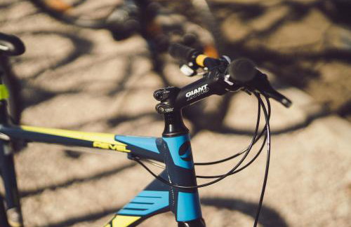 Kraina Dauby - Foto 54