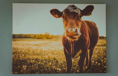 Appartement Honey - Foto 13