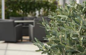 ARYVE Townhouse Rhodos mit Akropolis- und Meerblick sowie Jacuzzi und tollen Sonnenterrassen und Garten - Photo 19