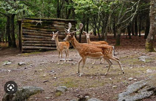Casa Vicente - Foto 61