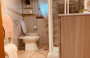 La Candida Rosa L T Anagni - Foto 10