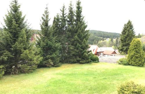 Beautiful apartment & pool Black Forest Häusern 5 people - Foto 16