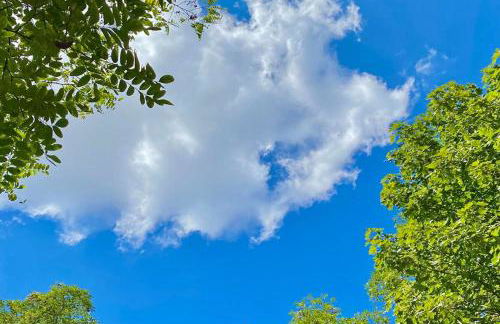 Fewo Horst 3 blau - Foto 11